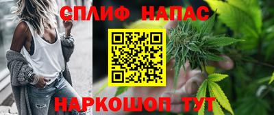 крисы Будённовск