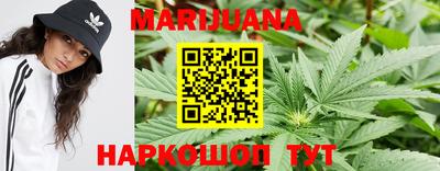 крисы Будённовск