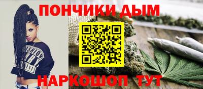 крисы Будённовск